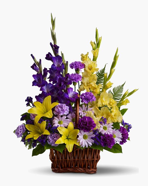 Beats Solo2 Solo 2  Wired On-Ear