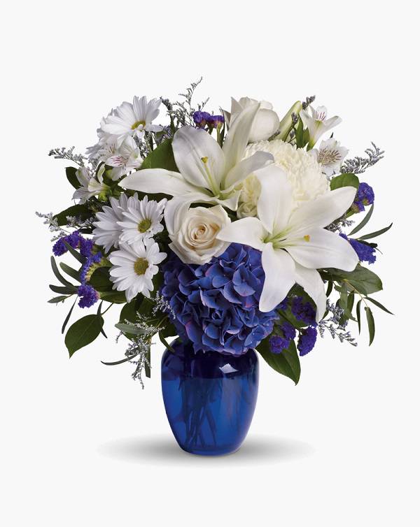 Beats Solo2 Solo 2  Wired On-Ear