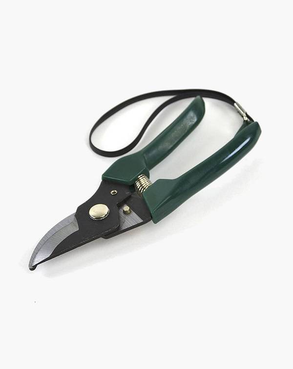 Bose SoundLink Bluetooth Speaker